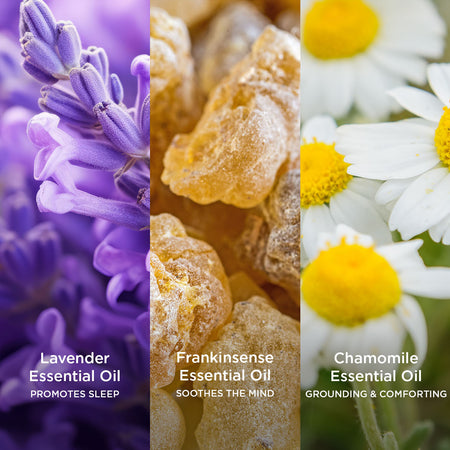 Close-up collage of three essential oils with associated benefits. On the left, purple lavender flowers labeled